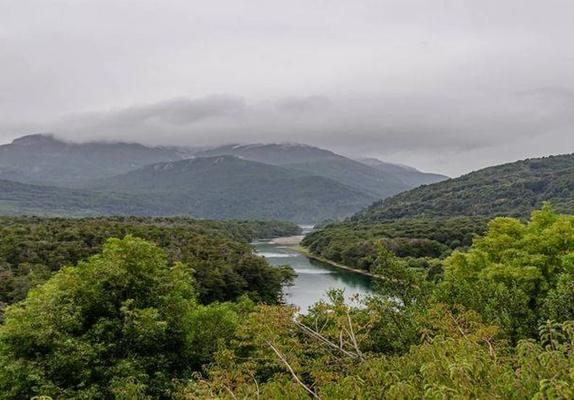 Parque Nacional Los Alerces. Créditos: Secretaría de Cultura de la Nación.