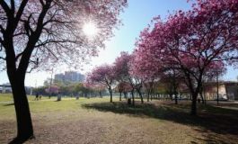 Pronóstico climático trimestral: Una primavera amable
