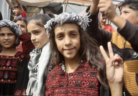 ¿Quién ganó la guerra de Gaza?
