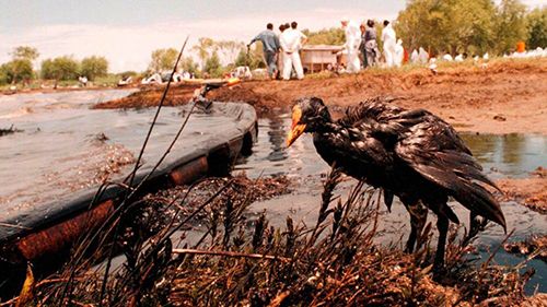 Derrame de petróleo en Magdalena, en 1999.