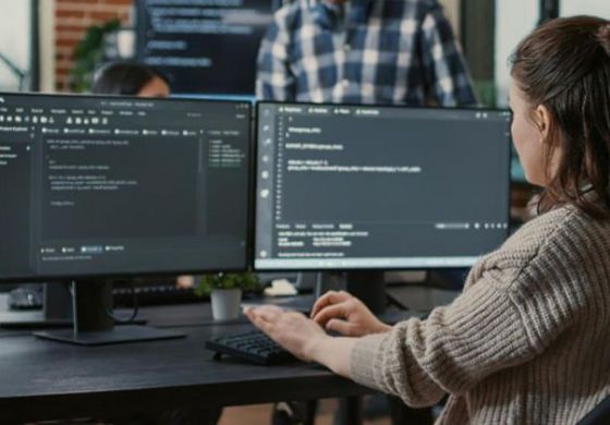 Industria del software: el valor que aportan las universidades y el gobierno no ve