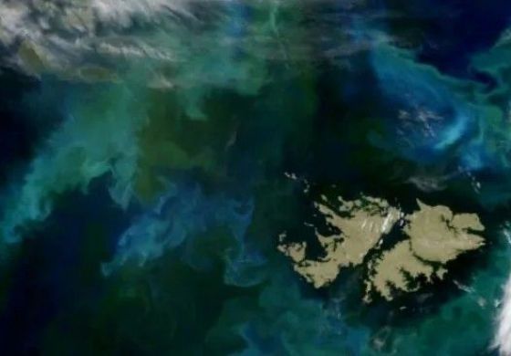 Malvinas: cuando la política exterior juega en contra de la soberanía