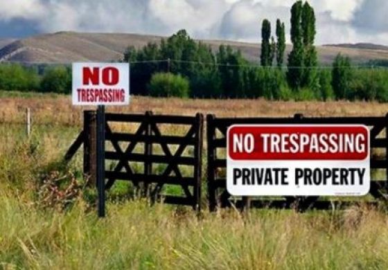 Tierra en venta: La extranjerización avanza y la derogación de la ley abre el territorio al capital de EE.UU.