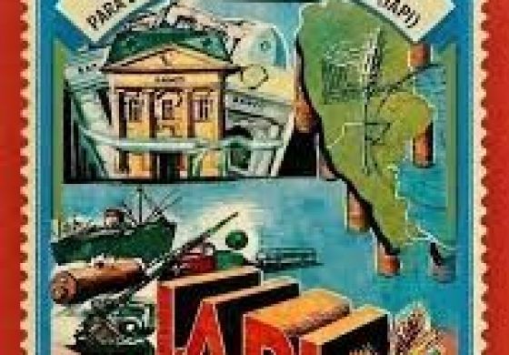 A 80 años del IAPI
