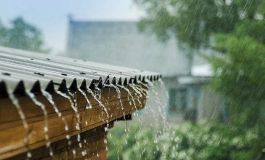Pronóstico climático trimestral: Se viene el agua