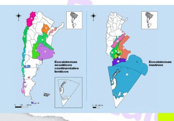 Ecosistemas de Argentina: Nuestro mapa de la vida