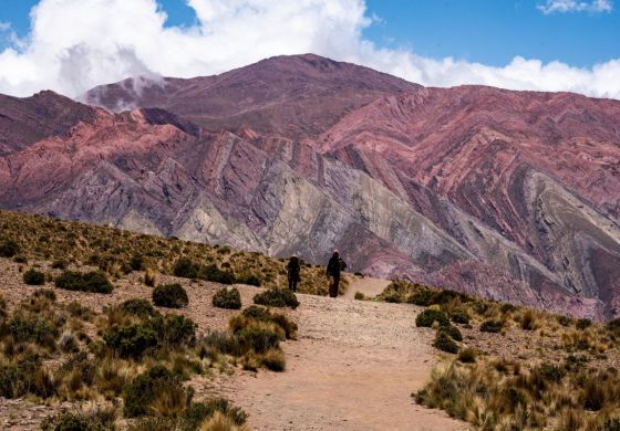 El NOA al rojo vivo: cómo avanza la extranjerización de la tierra en Salta, Jujuy y Tucumán y qué consecuencias genera en el territorio